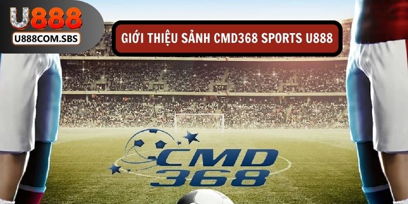 CMD368 Sports - đơn vị cung cấp kèo thể thao hàng đầu