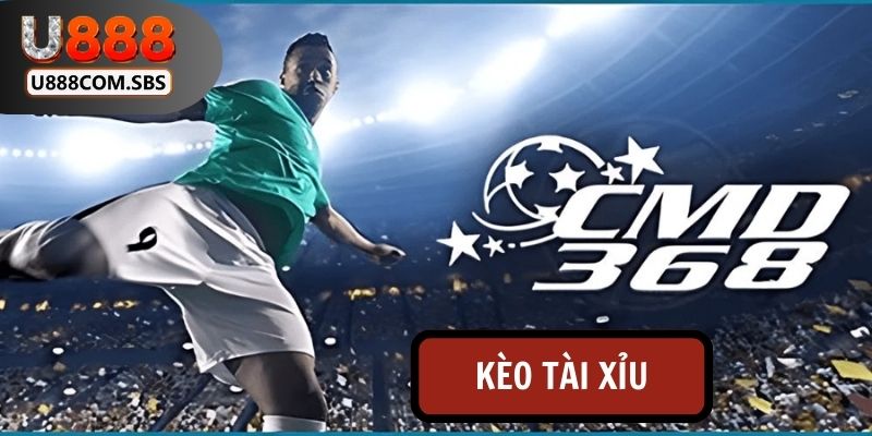 Kèo Tài Xỉu sở hữu nhiều lượt tham gia tại CMD368 Sports