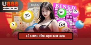 Lô khung Rồng Bạch Kim U888