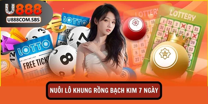Nuôi lô khung Rồng Bạch Kim 7 ngày đòi hỏi bạn phải kiên nhẫn